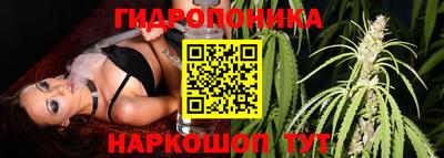 скорость Будённовск