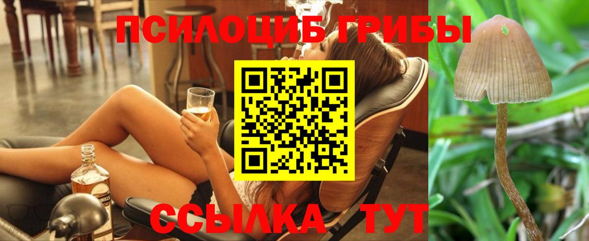 Туапсе  Псилоцибиновые грибы ЛСД  Вход с VPN 